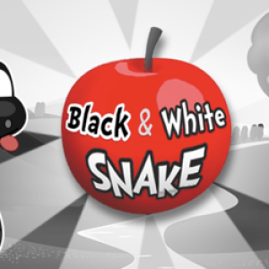 Black & White Snake