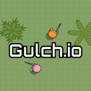 Gulch.io