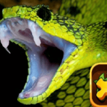 Snake Puzzle Challenge